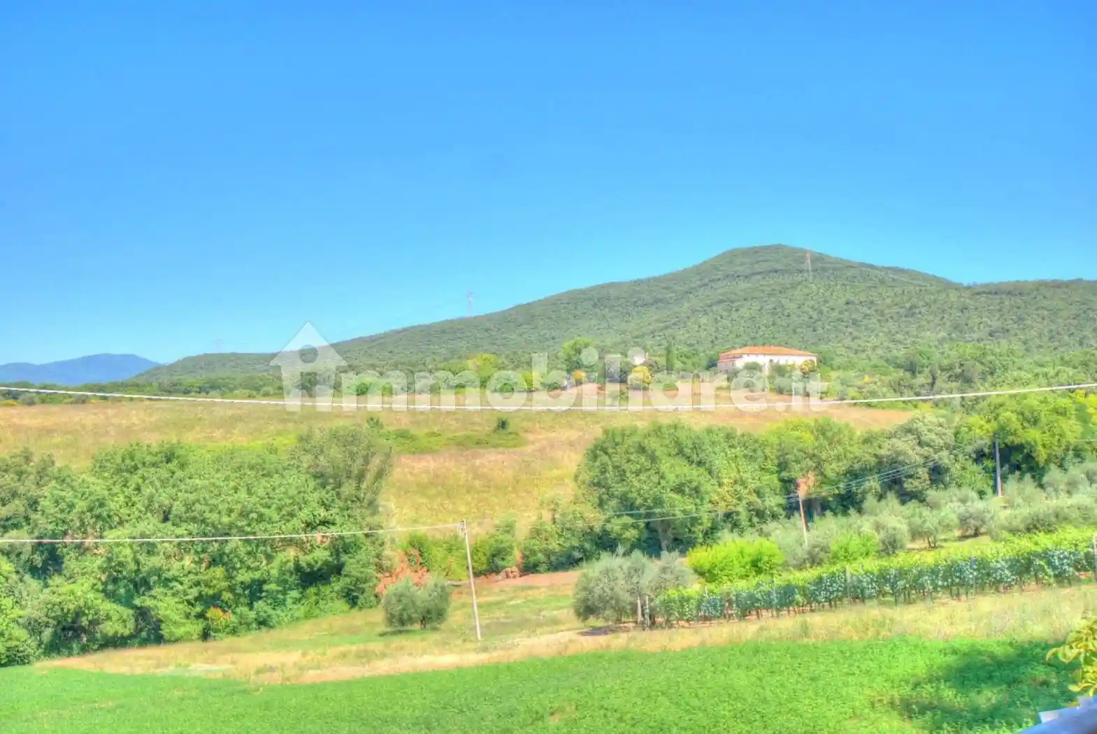 Rustico - Casale in vendita a Amelia