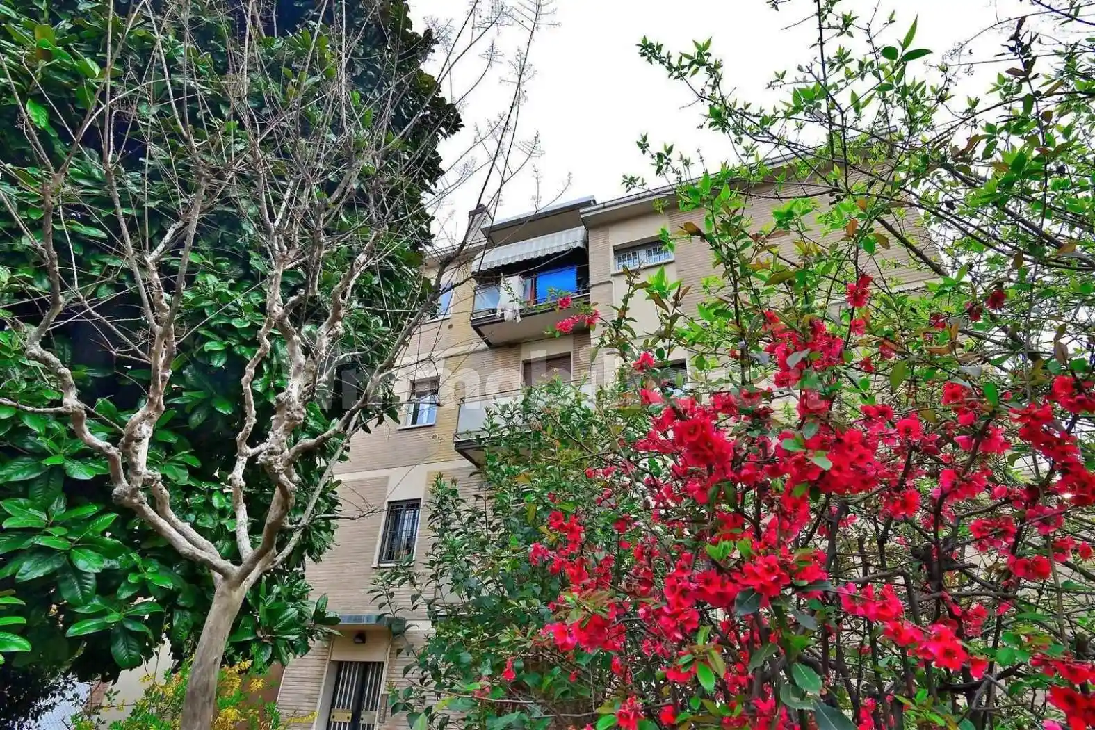 Appartamento in affitto a Bologna