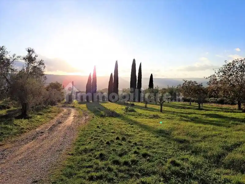 Rustico - Casale in vendita a Orvieto
