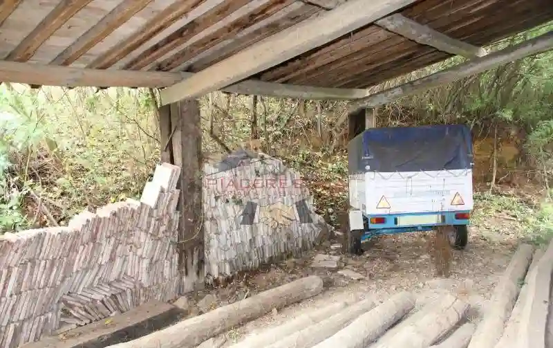 Rustico - Casale - foto 4