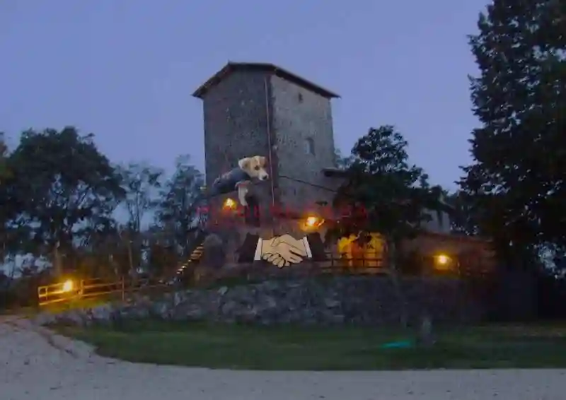 Rustico - Casale - foto 5