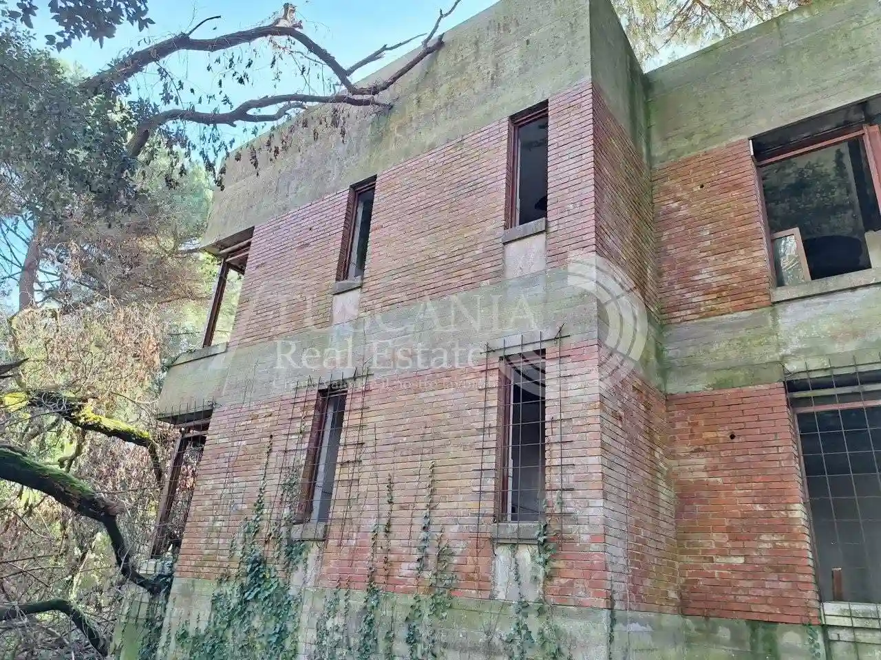 Palazzo - Edificio - foto 4