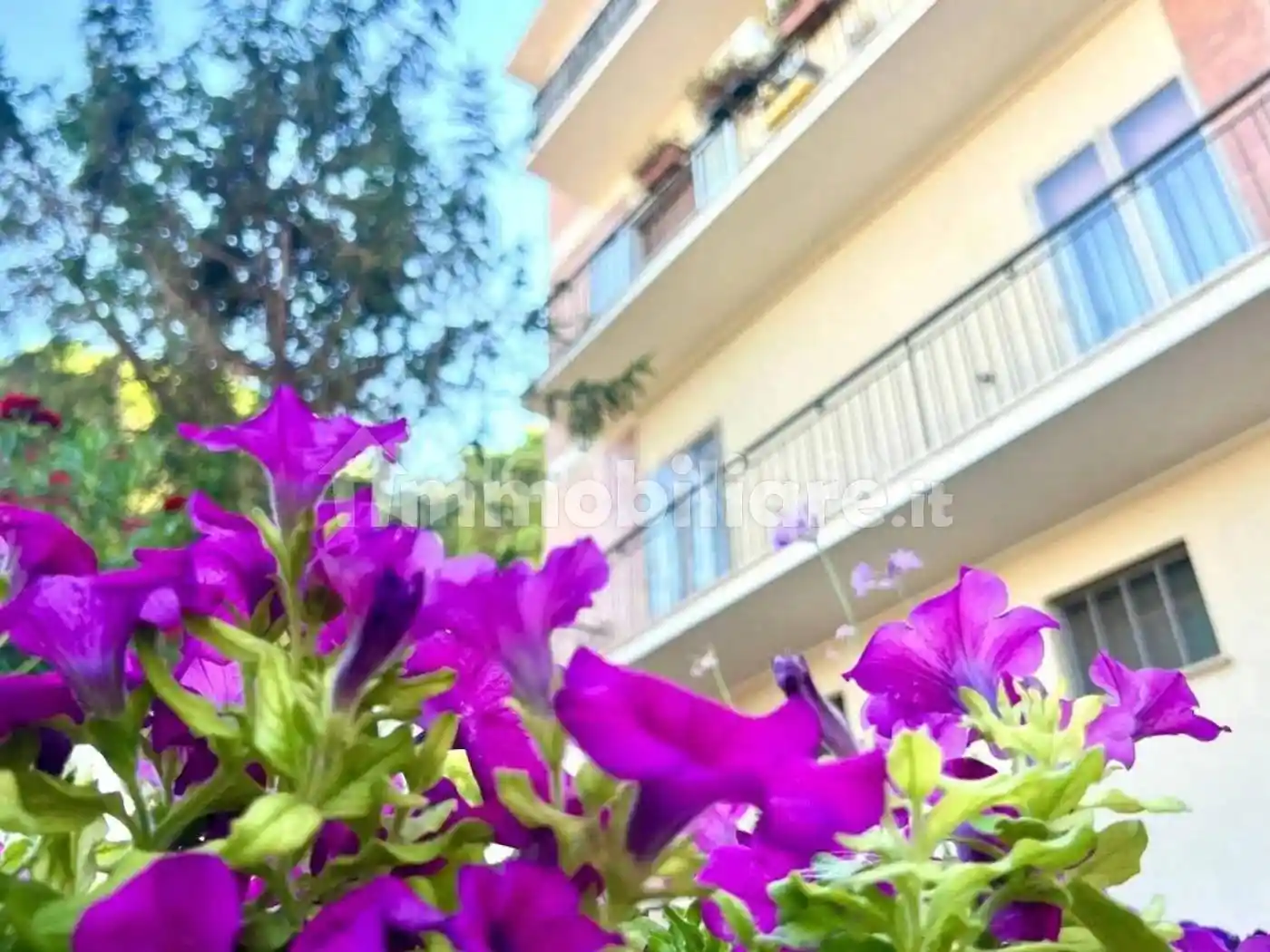 Appartamento in vendita a San Salvo