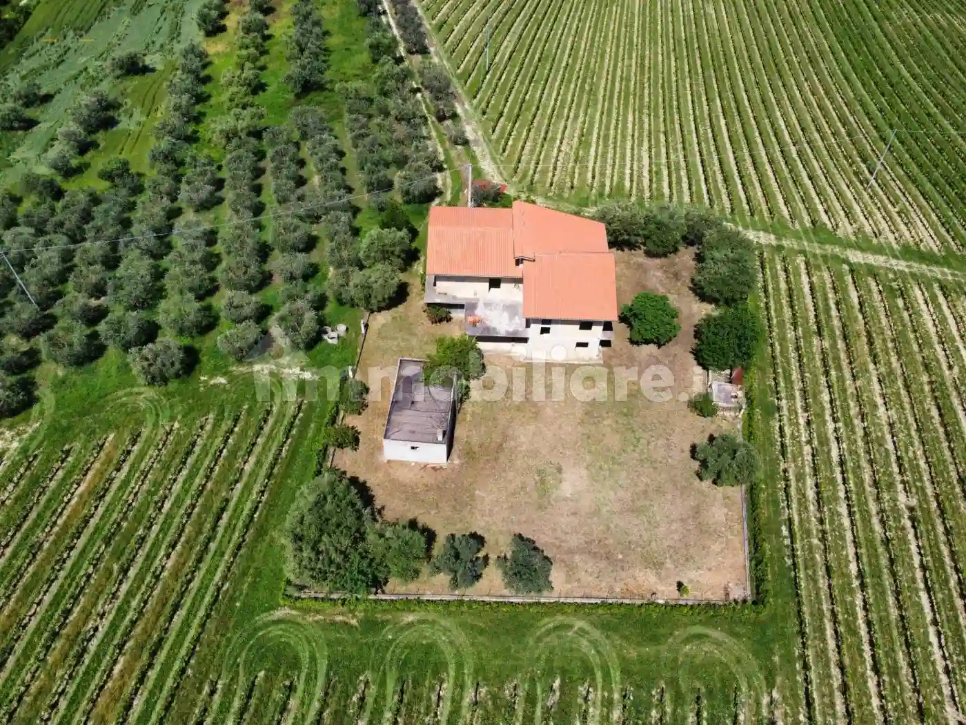 Rustico - Casale - foto 2