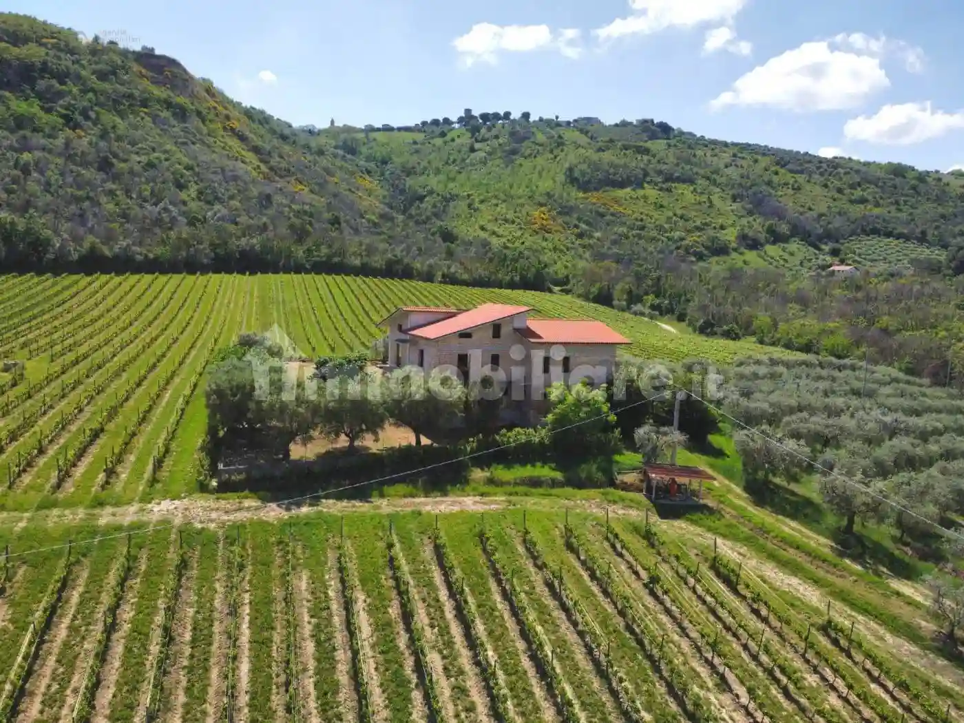 Rustico - Casale - foto 5