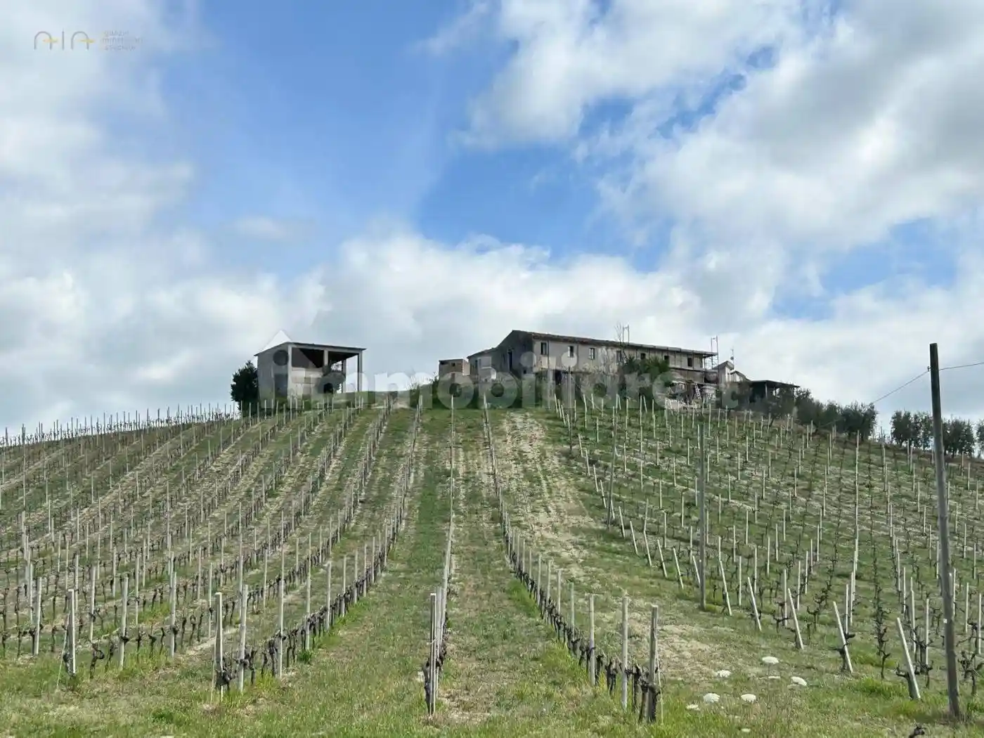 Rustico - Casale in vendita a Castignano