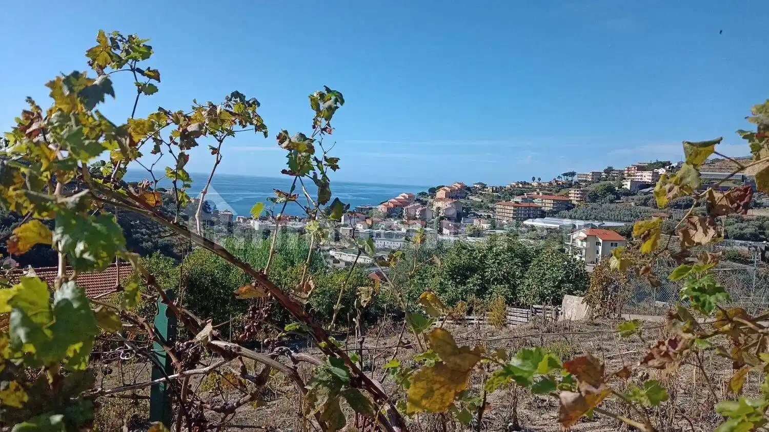 Villa in vendita a Santo Stefano al Mare