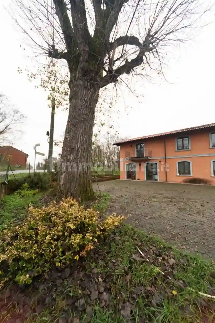 Rustico - Casale - foto 5