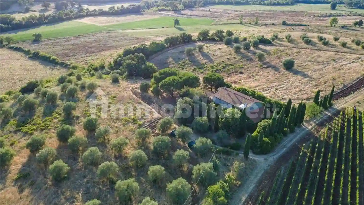 Rustico - Casale - foto 4