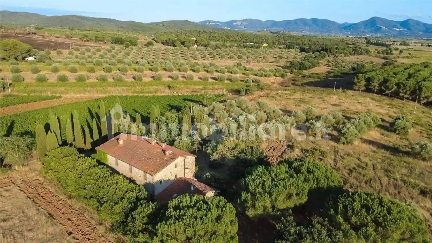 Rustico - Casale - foto 5