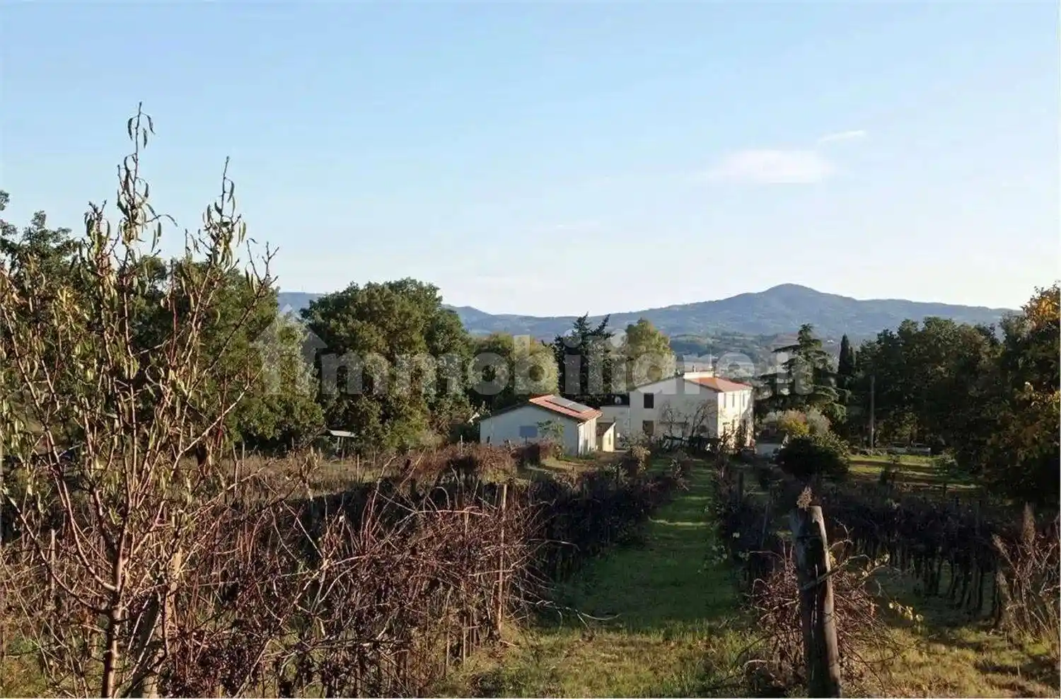 Rustico - Casale in vendita a Campagnatico