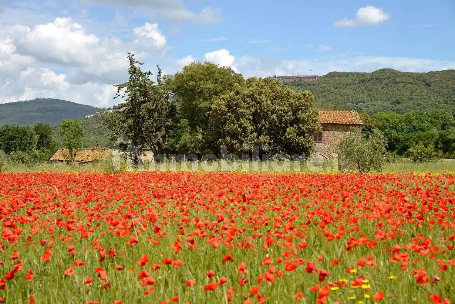 Rustico - Casale in vendita a Massa Marittima