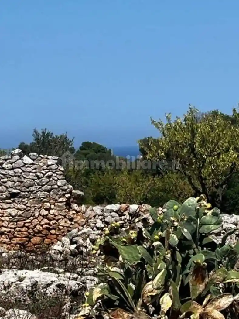 Rustico - Casale in vendita a Carovigno