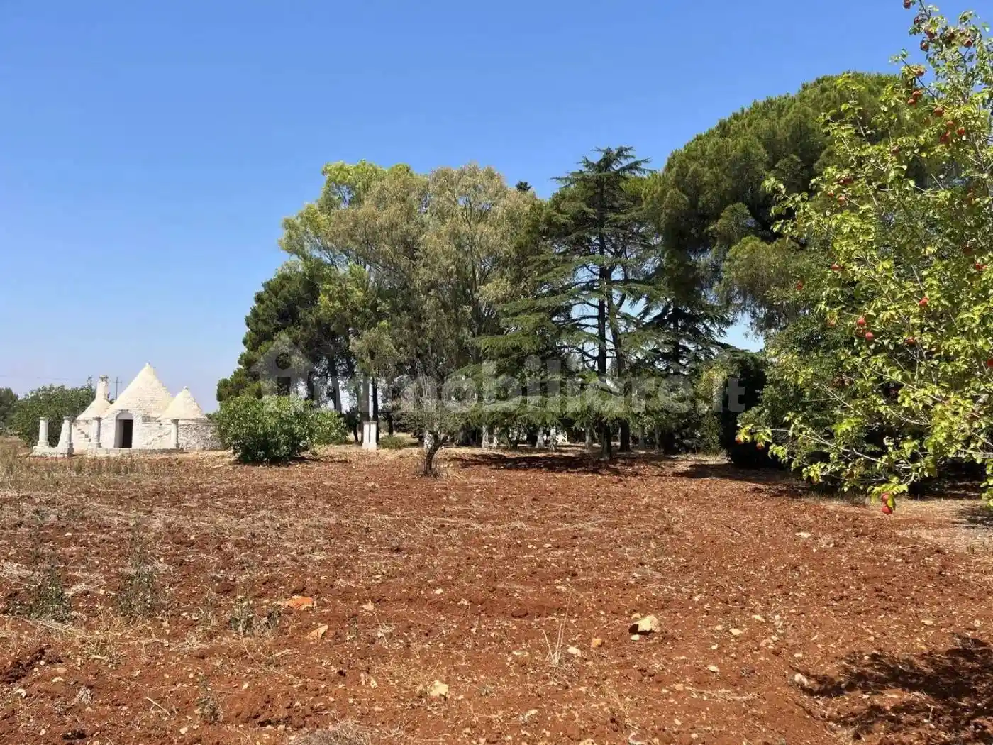 Villa in vendita a Carovigno