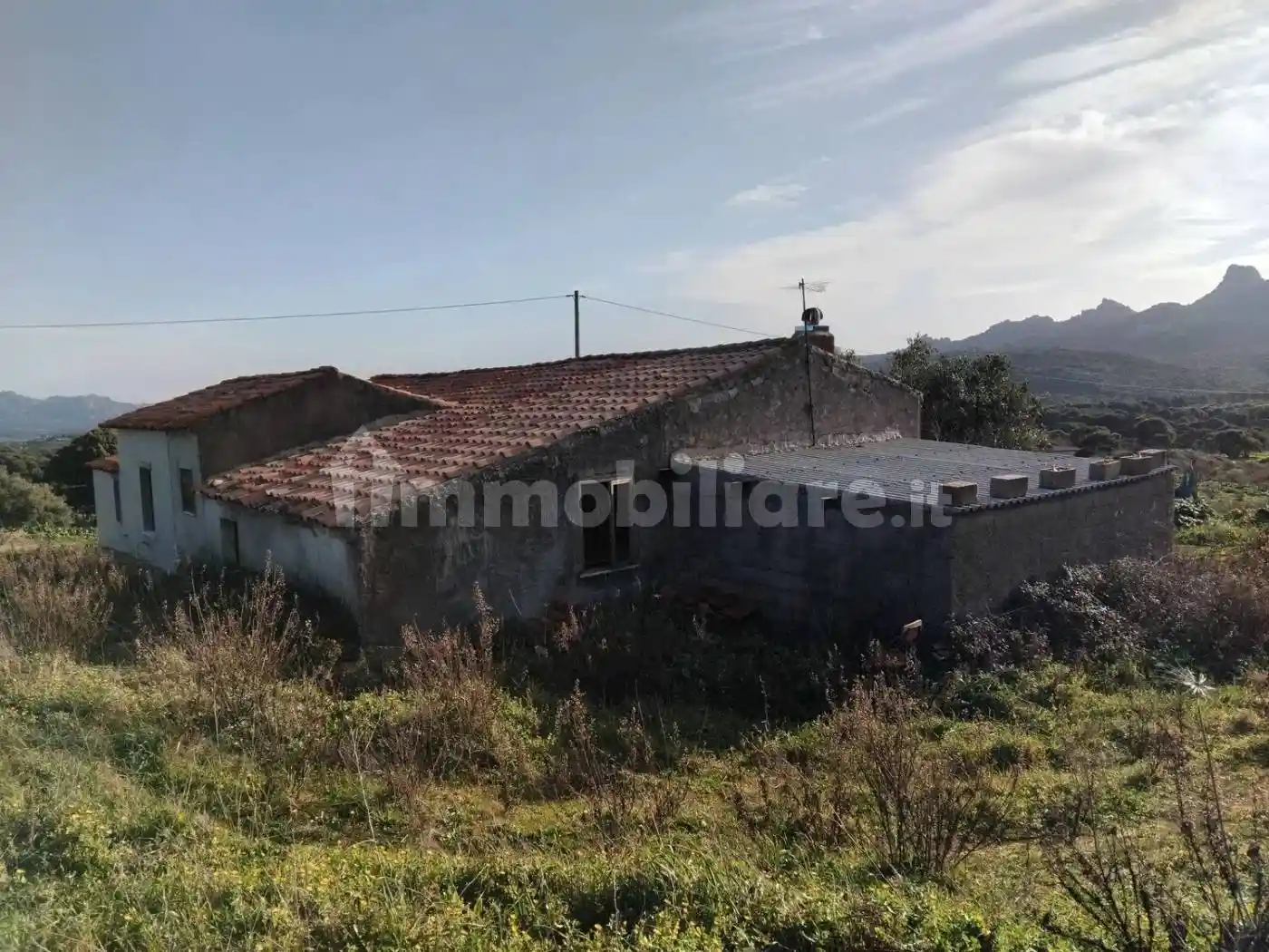 Rustico - Casale in vendita a Aggius