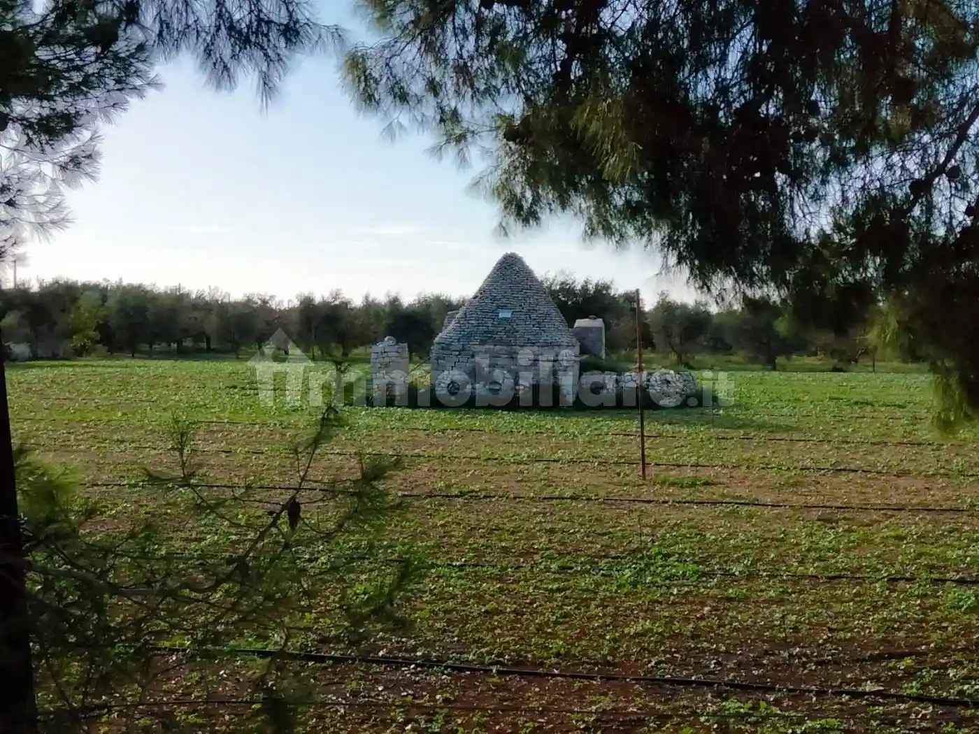 Rustico - Casale in vendita a Conversano