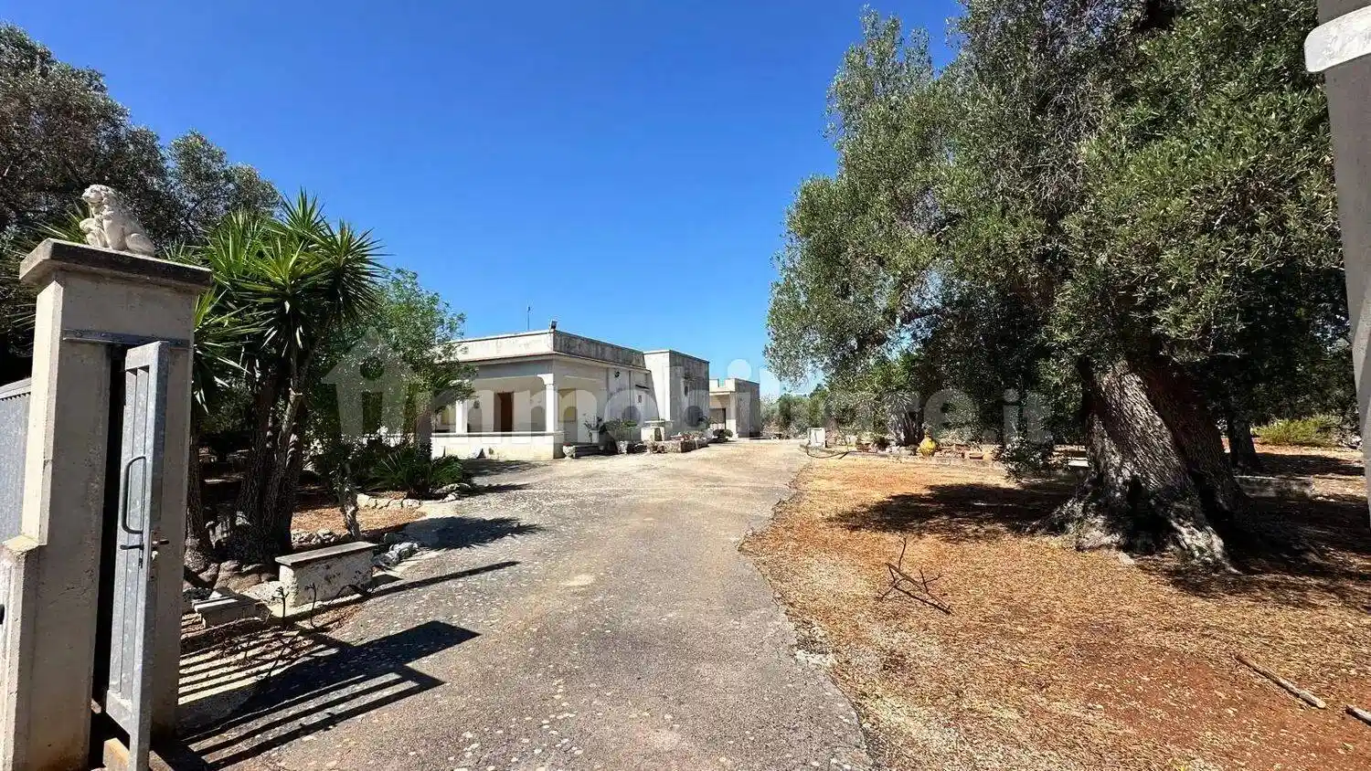 Villa in vendita a Carovigno