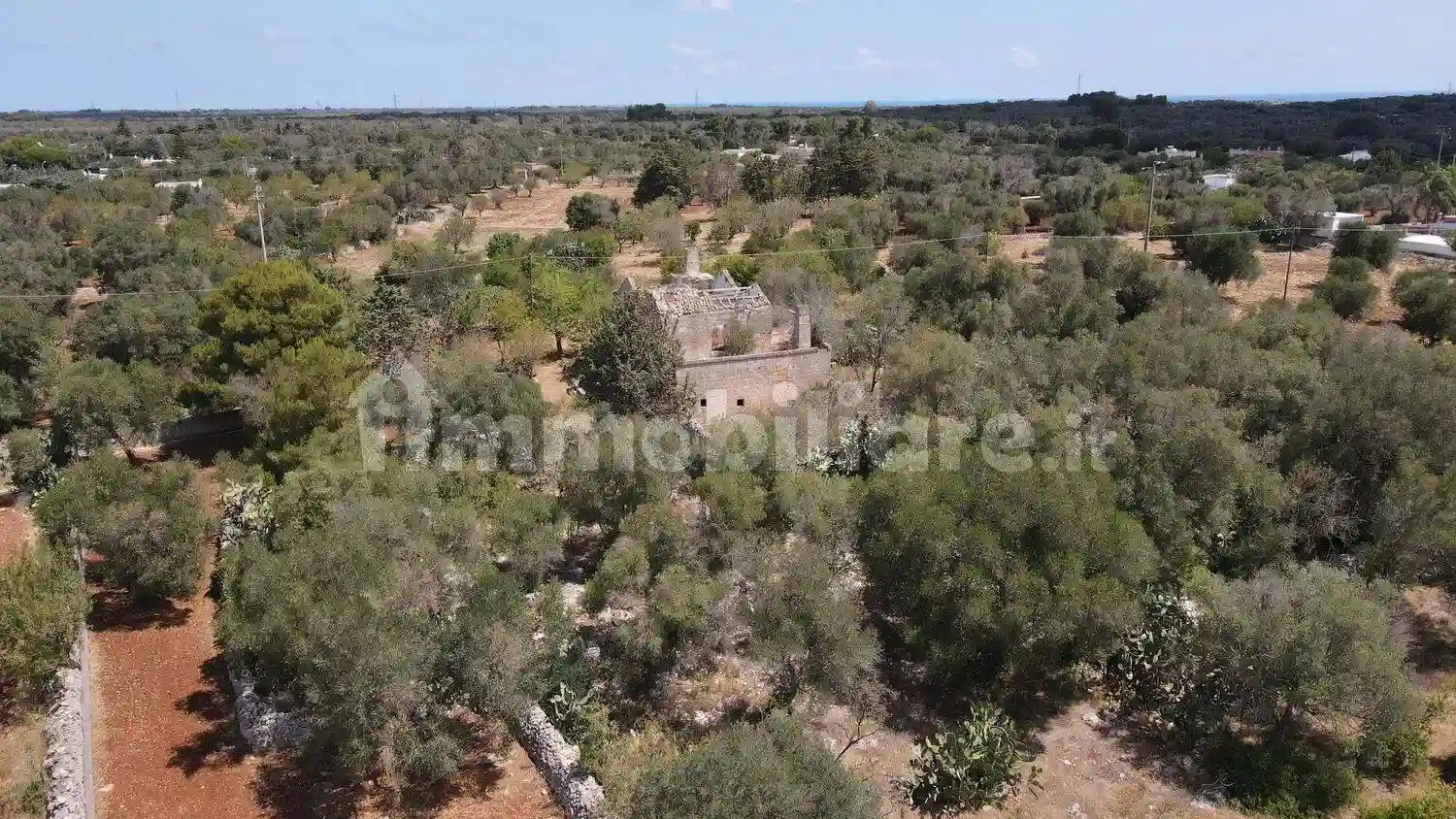 Rustico - Casale - foto 5