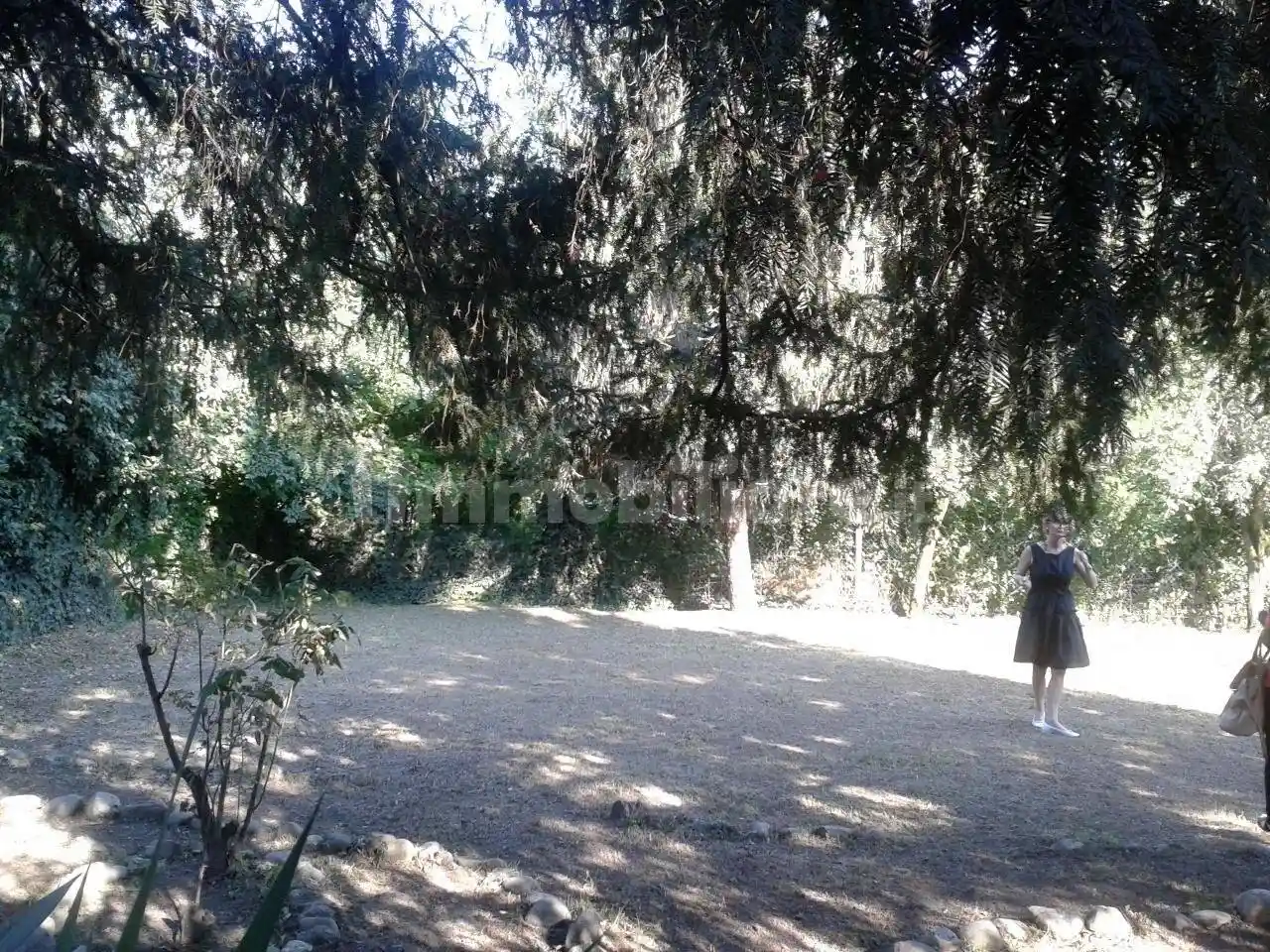 Appartamento in affitto a Rottofreno