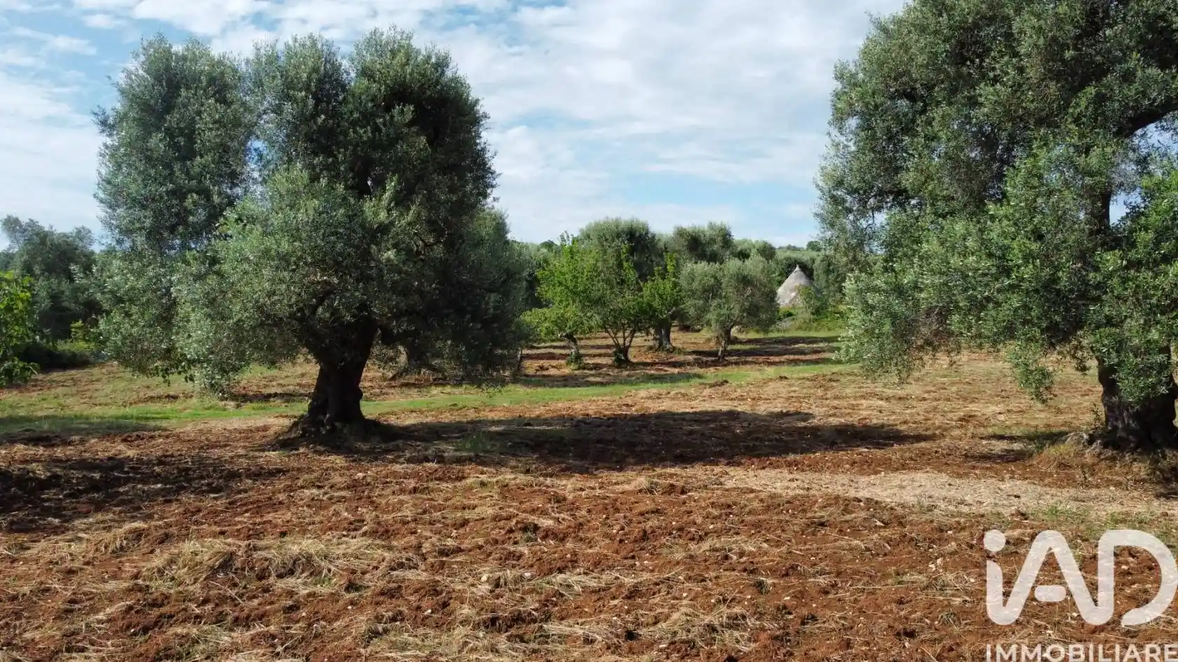 Rustico - Casale in vendita a Ceglie Messapica