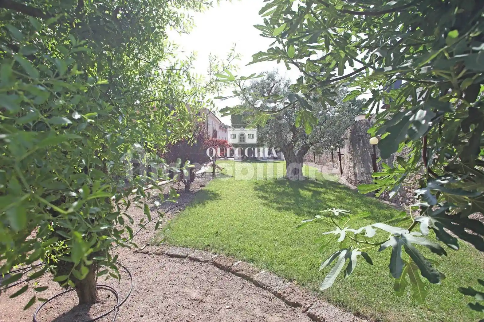 Rustico - Casale in vendita a Valeggio sul Mincio