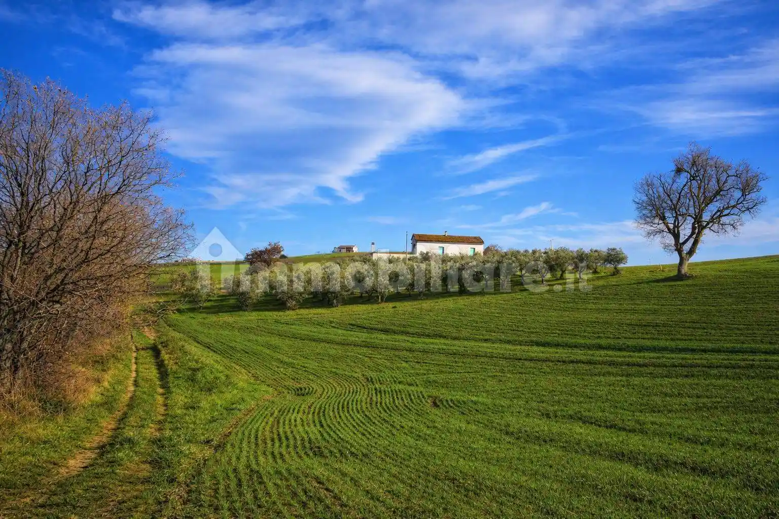 Rustico - Casale in vendita a Montenero di Bisaccia