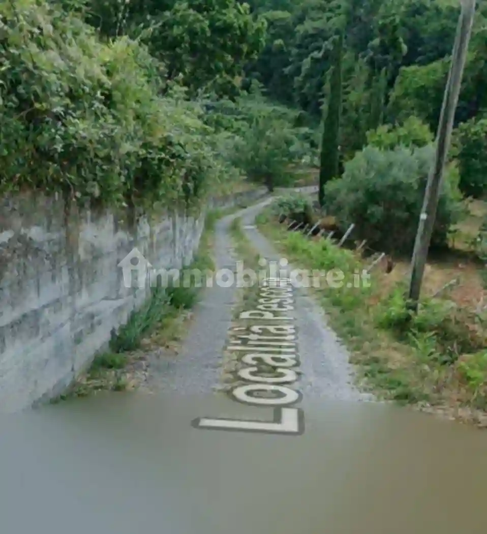 Palazzo - Stabile - foto 4