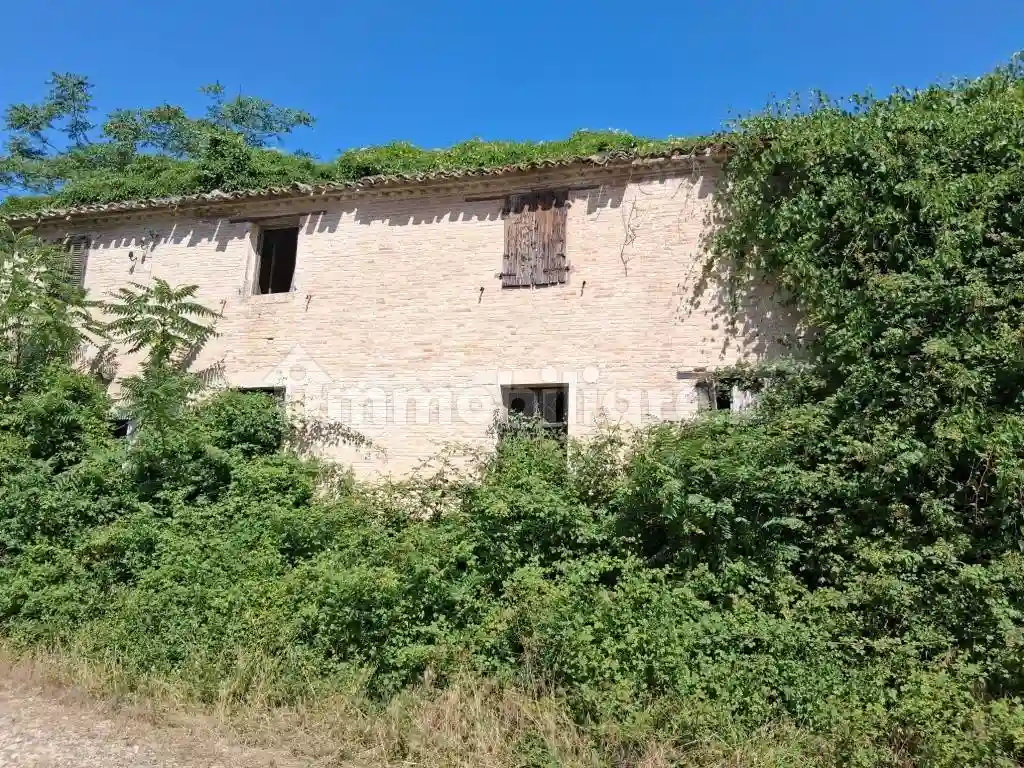 Palazzo - Edificio - foto 3