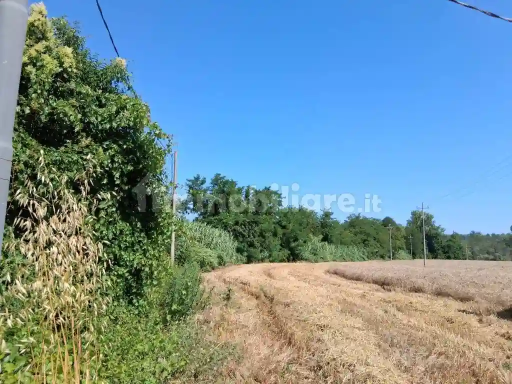 Palazzo - Edificio - foto 5