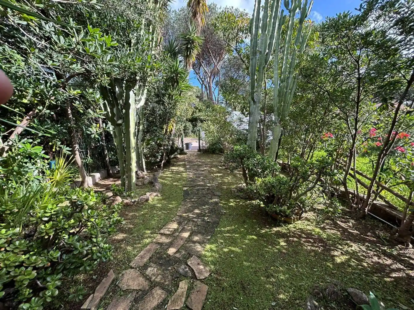 Appartamento in affitto a Pula