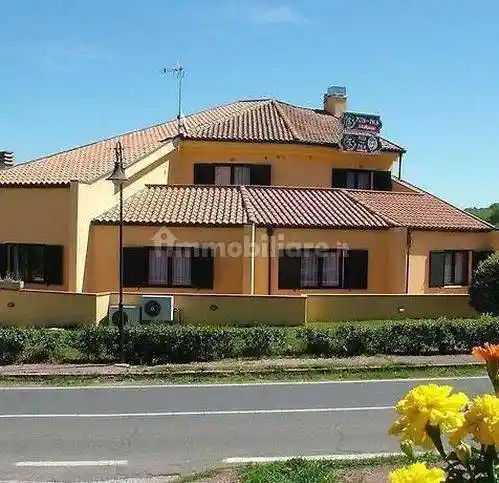 Palazzo - Edificio in vendita a Manciano