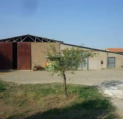 Rustico - Casale in vendita a Scansano