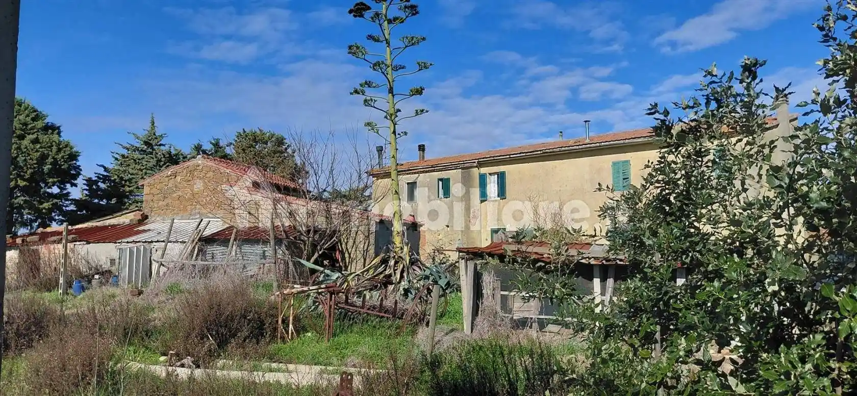 Rustico - Casale in vendita a Scansano