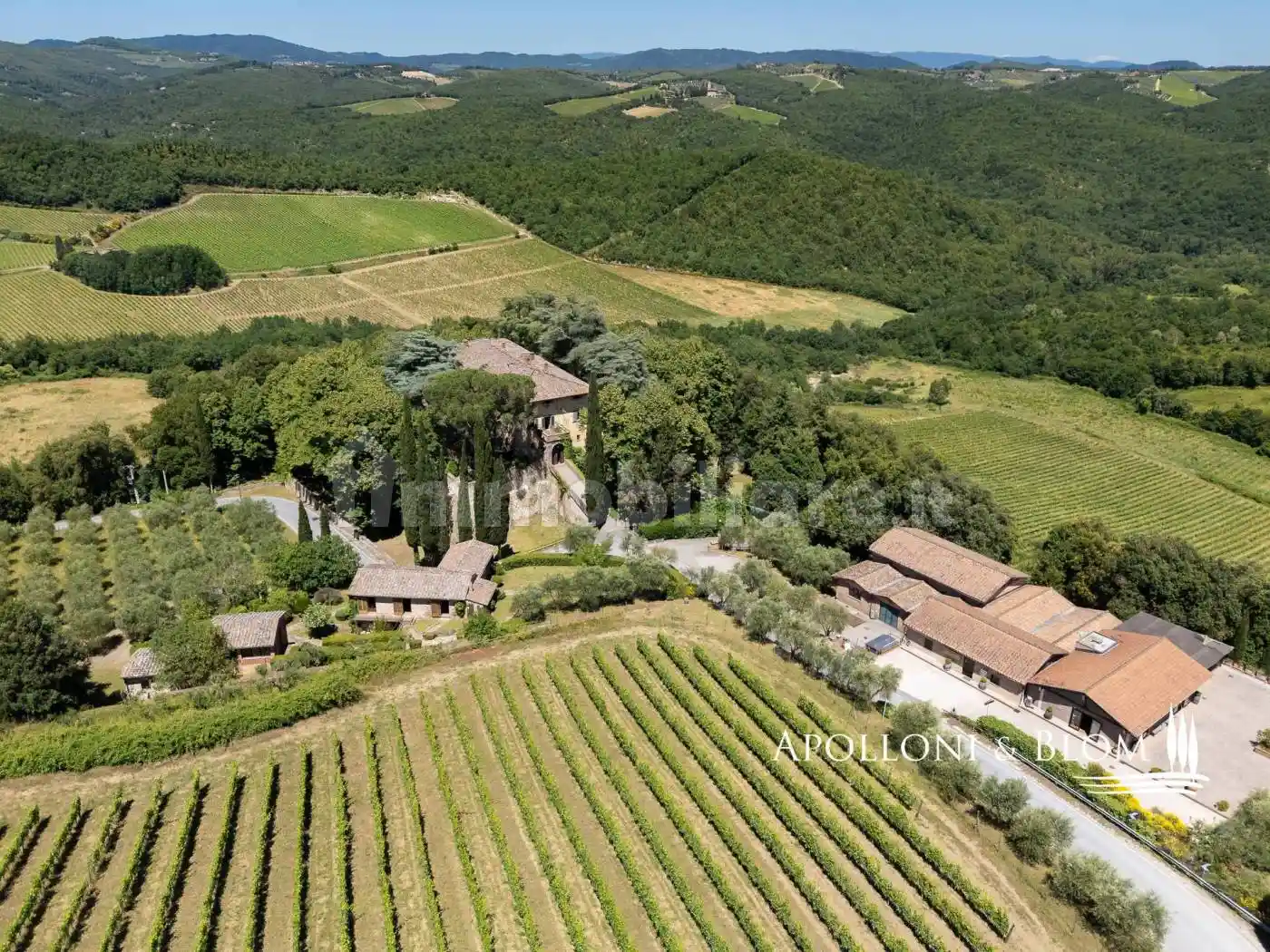 Rustico - Casale in vendita a Castelnuovo Berardenga