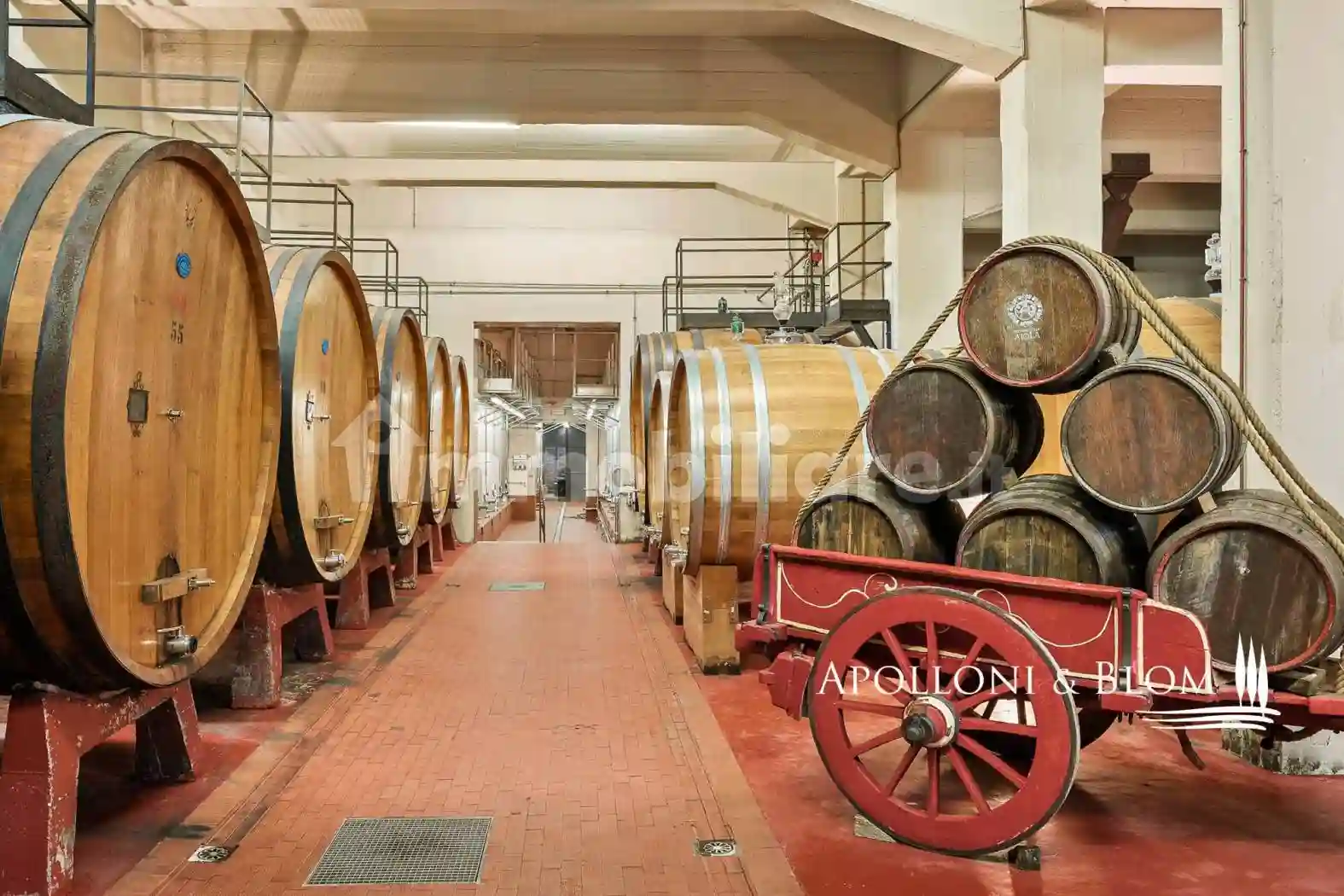 Rustico - Casale - foto 5