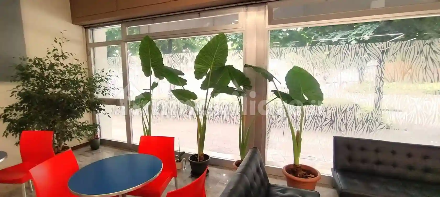 Palazzo - Edificio - foto 3