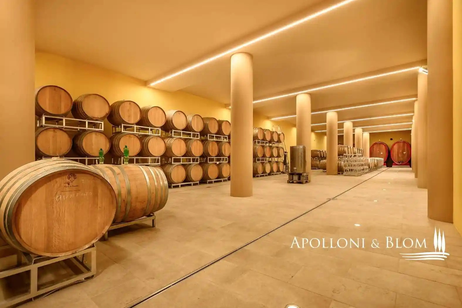 Rustico - Casale in vendita a Montepulciano