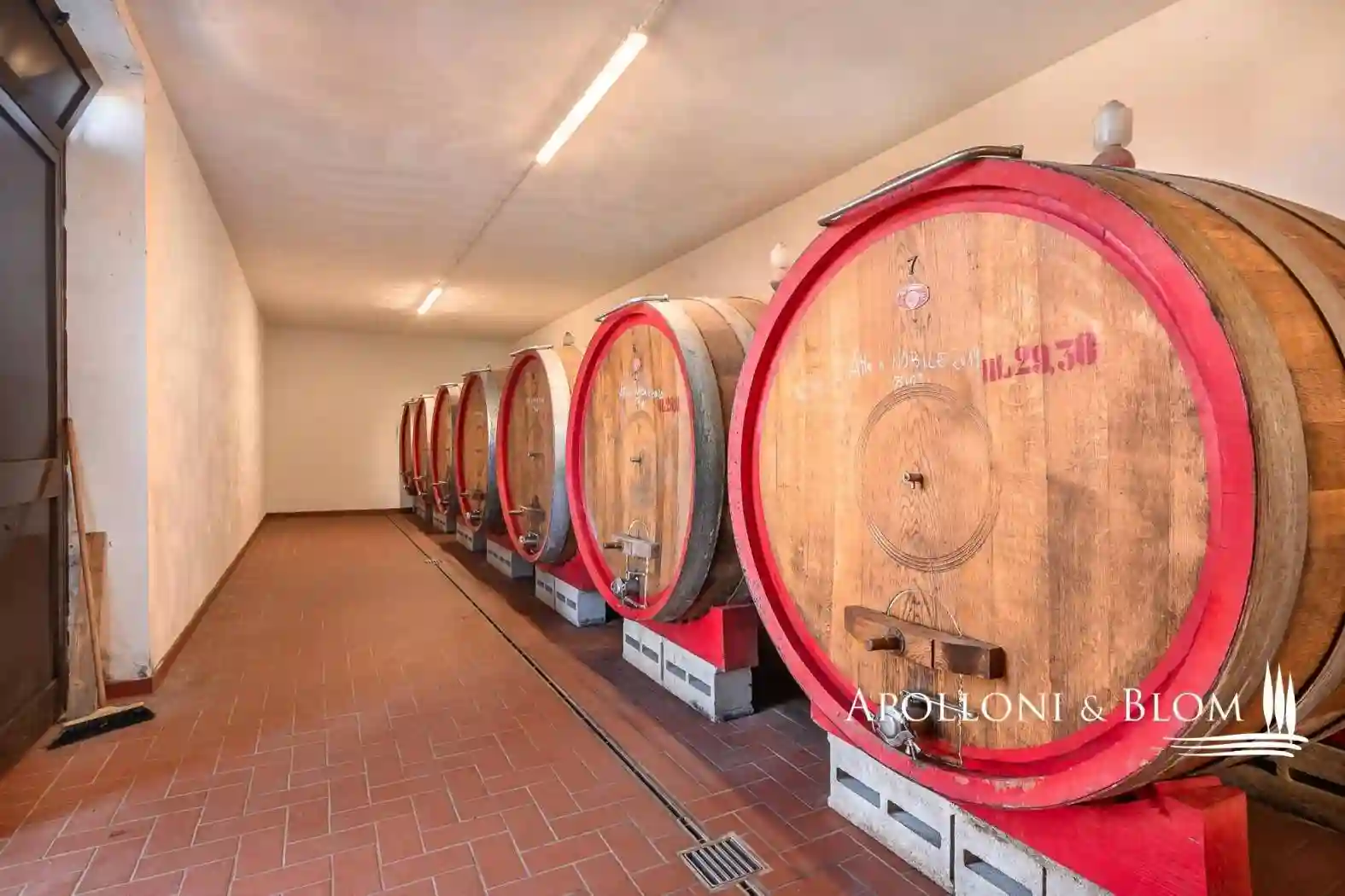 Rustico - Casale - foto 3