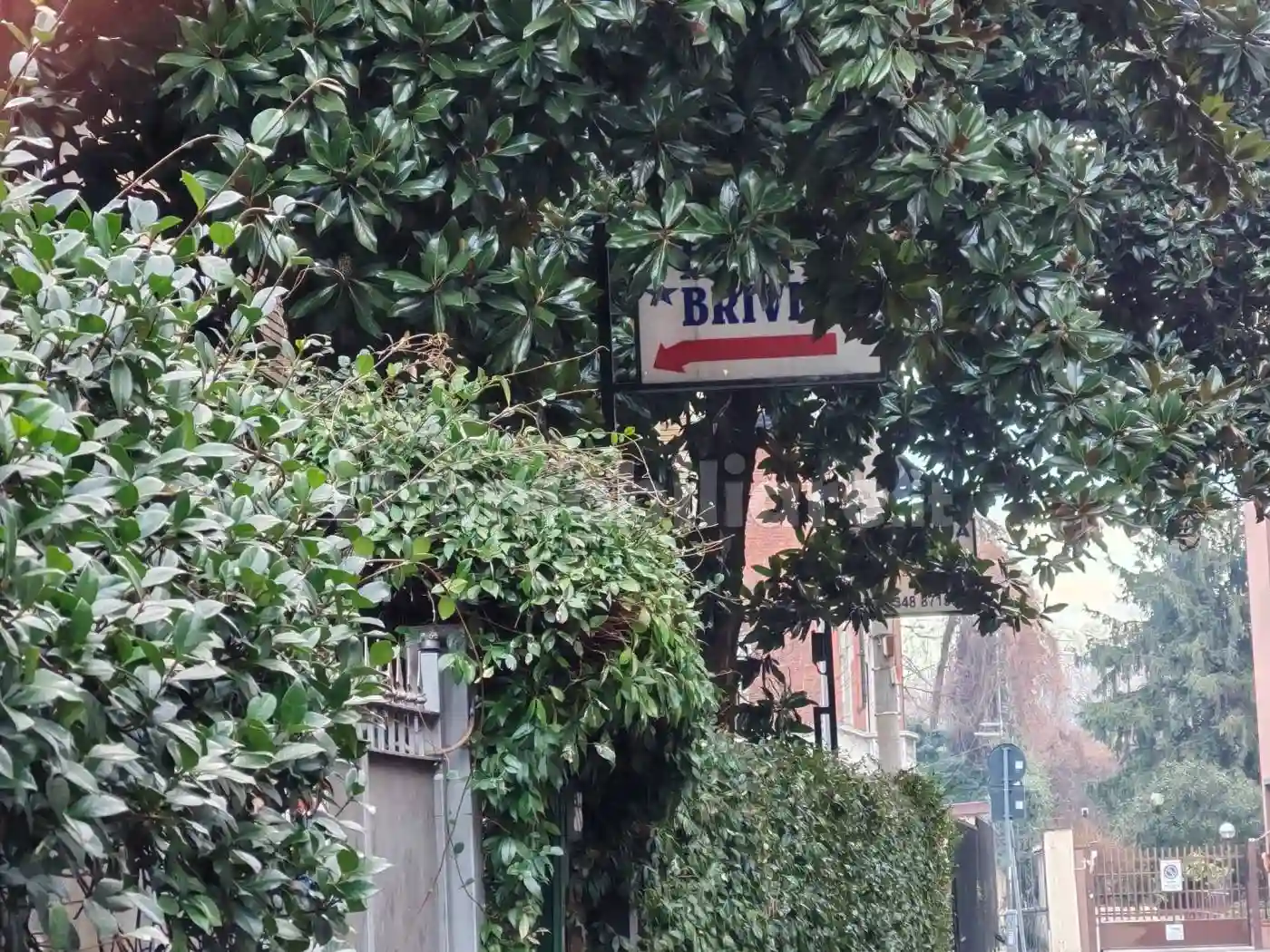 Palazzo - Edificio - foto 4