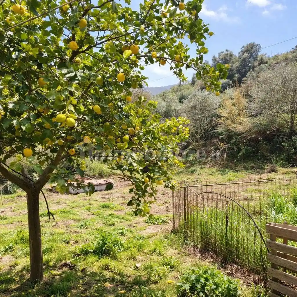 Rustico - Casale in vendita a Monte Argentario