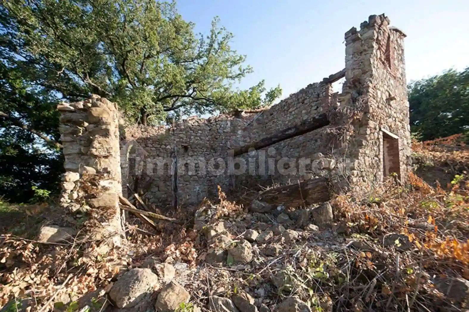 Rustico - Casale - foto 3