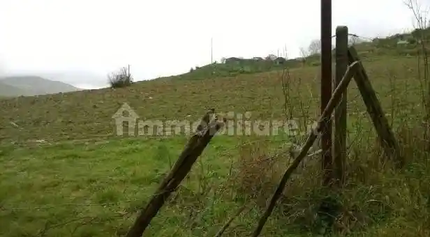 Palazzo - Stabile in vendita a Barrafranca