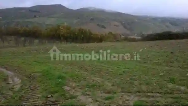 Palazzo - Stabile - foto 2