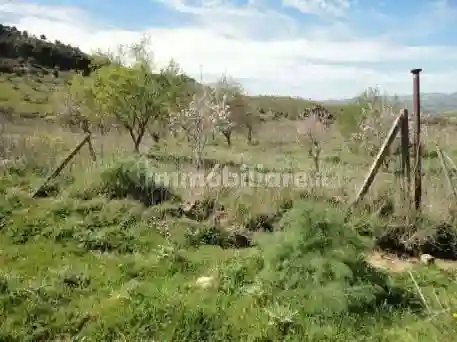 Palazzo - Stabile - foto 3