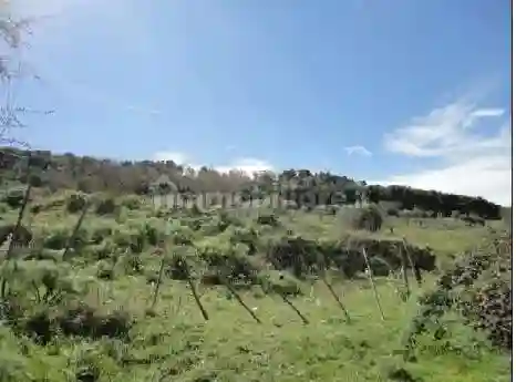 Palazzo - Stabile - foto 4