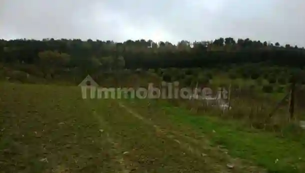 Palazzo - Stabile - foto 5