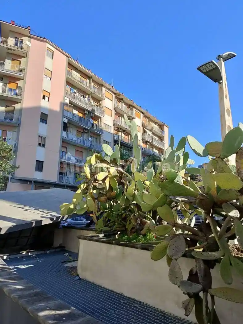 Appartamento in affitto a Salerno