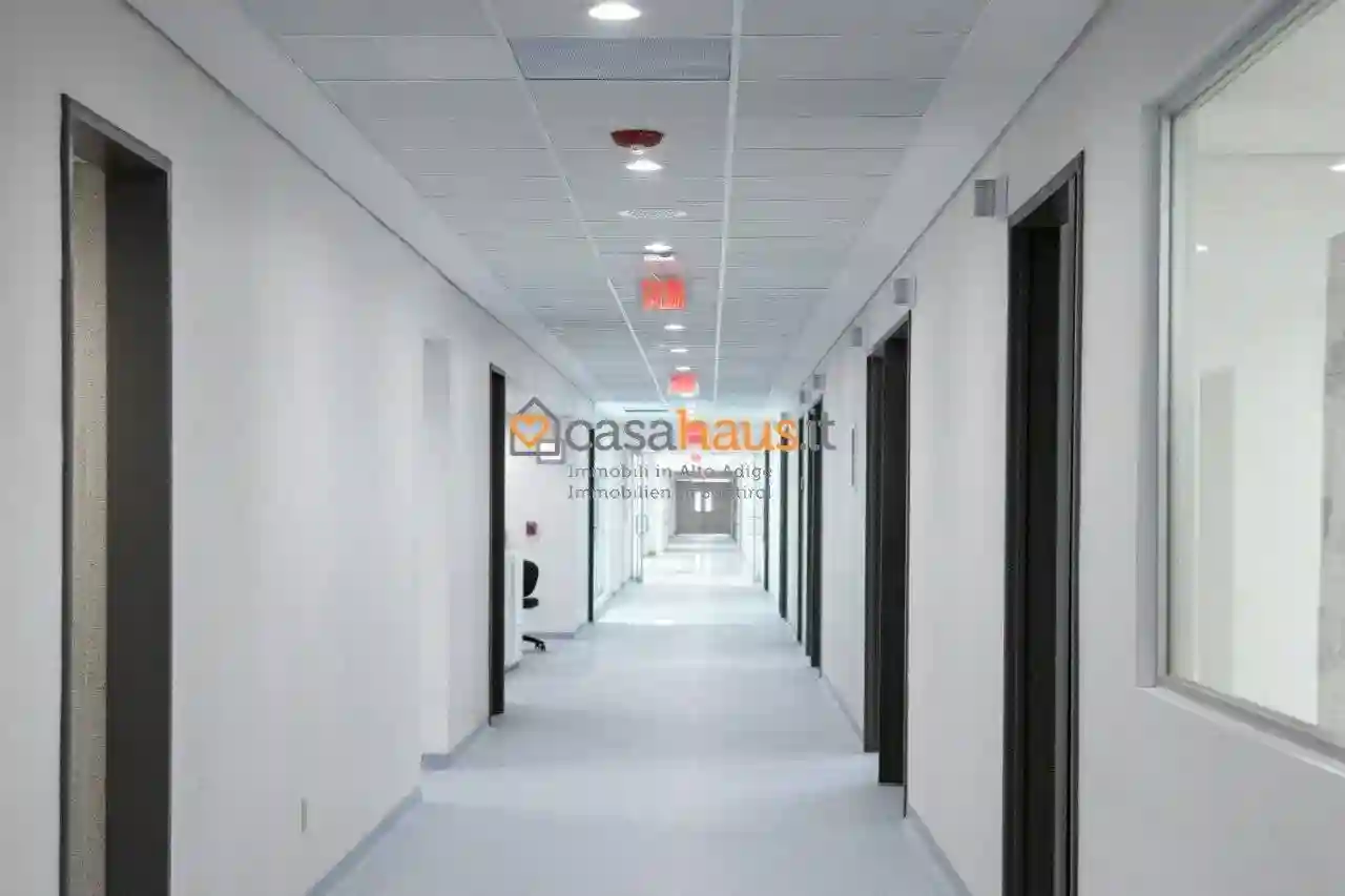 Palazzo - Edificio - foto 5