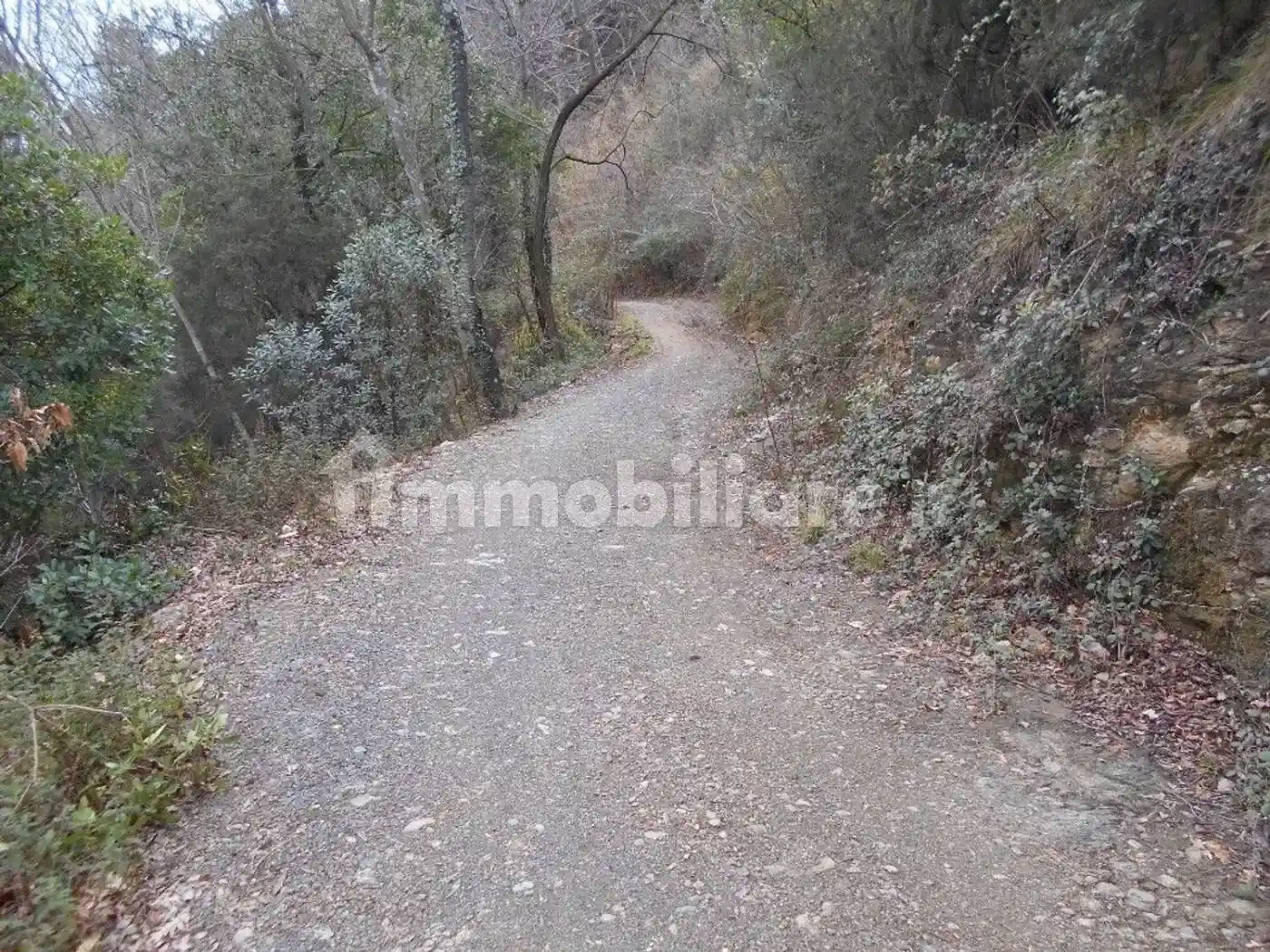 Rustico - Casale in vendita a Leivi