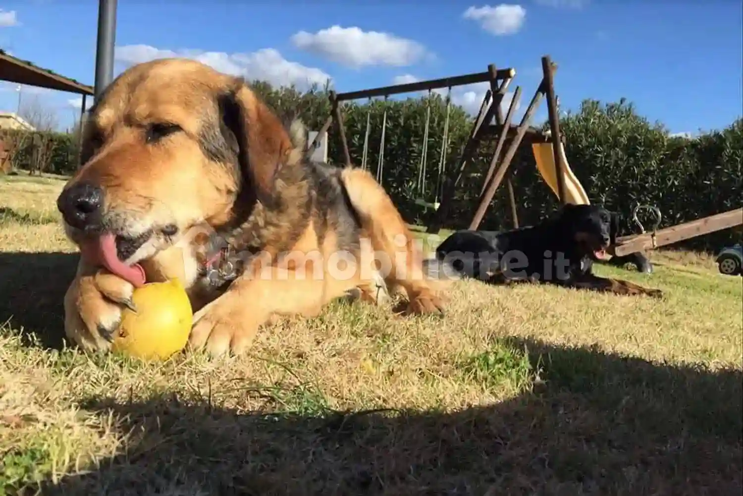 Rustico - Casale - foto 4